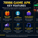 78986 game