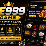 WE999Game